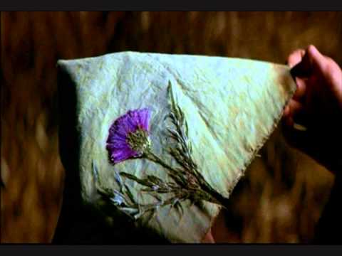 Braveheart - Gift of a Thistle